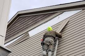 Professional Siding in Lake Holiday, IL